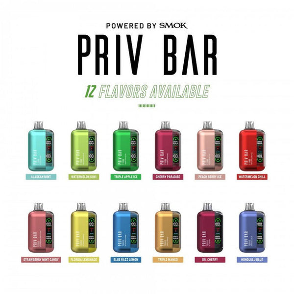PRIV Bar Turbo 15000 Vape USA